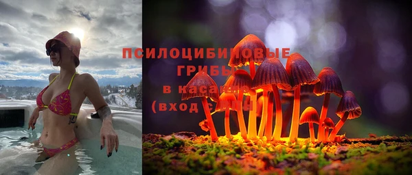 Альфа ПВП Белоозёрский
