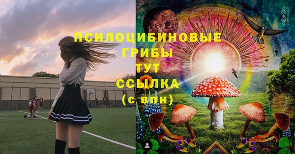 спайс Белокуриха