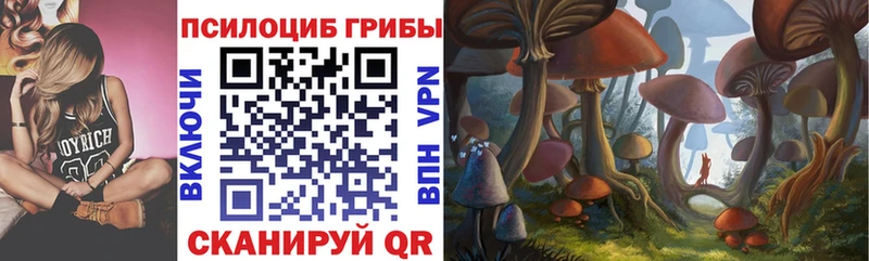 Купить закладки  Курлово  Галлюциногенные грибы Psilocybe 